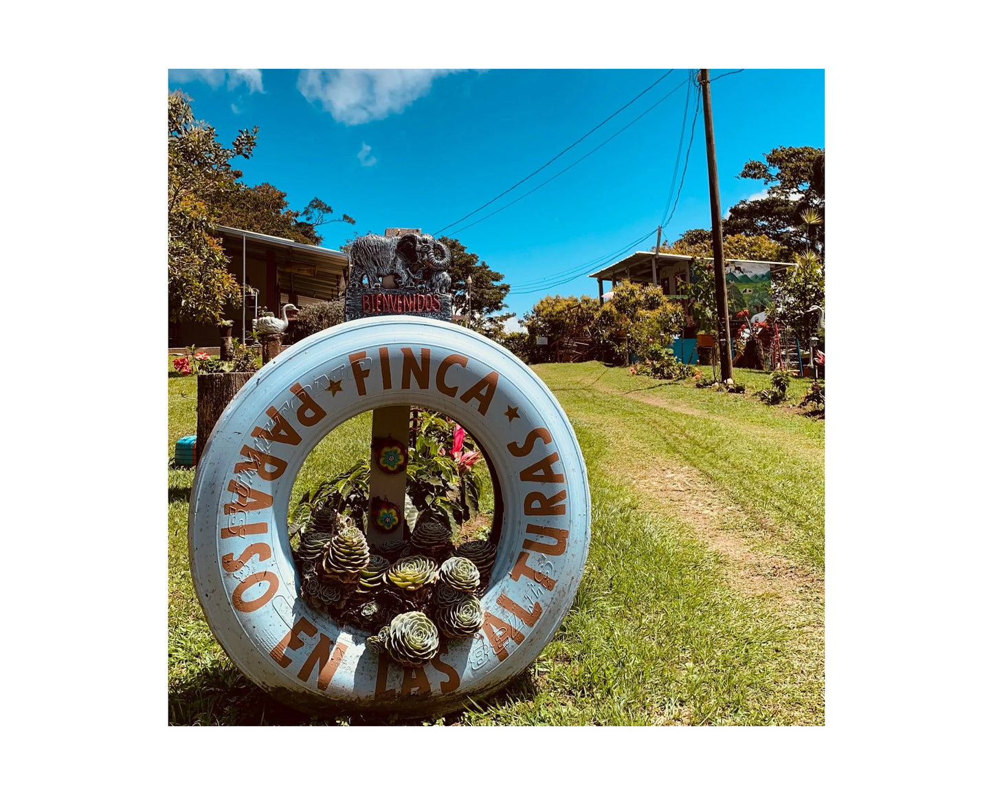 Honduras - Finca El Paraiso