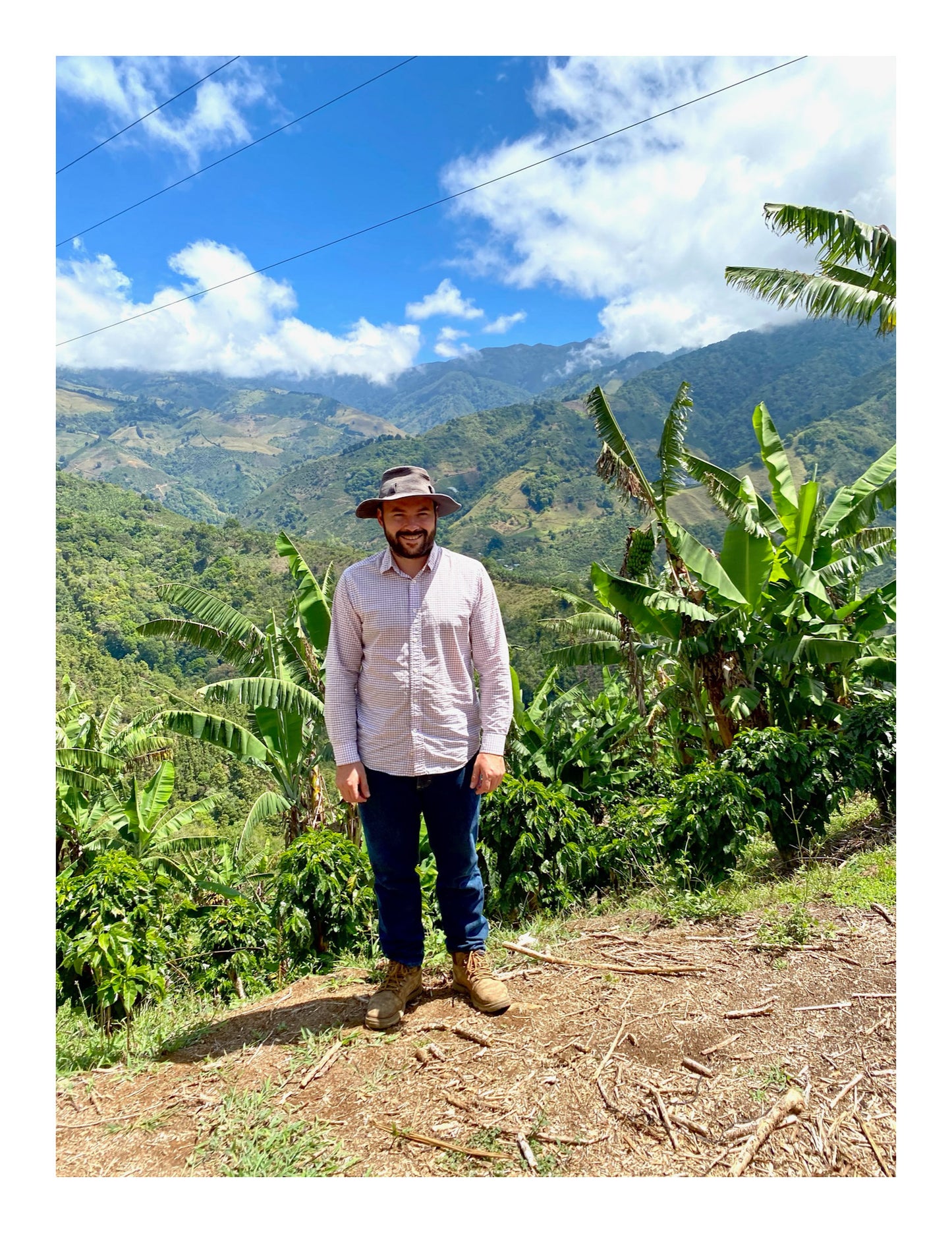 Costa Rica - Java • Fully Honey